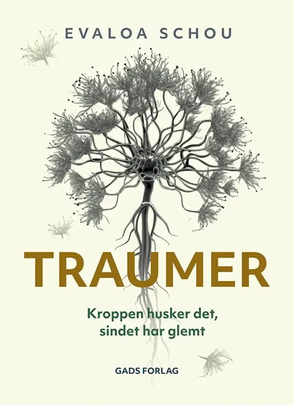 Traumer
