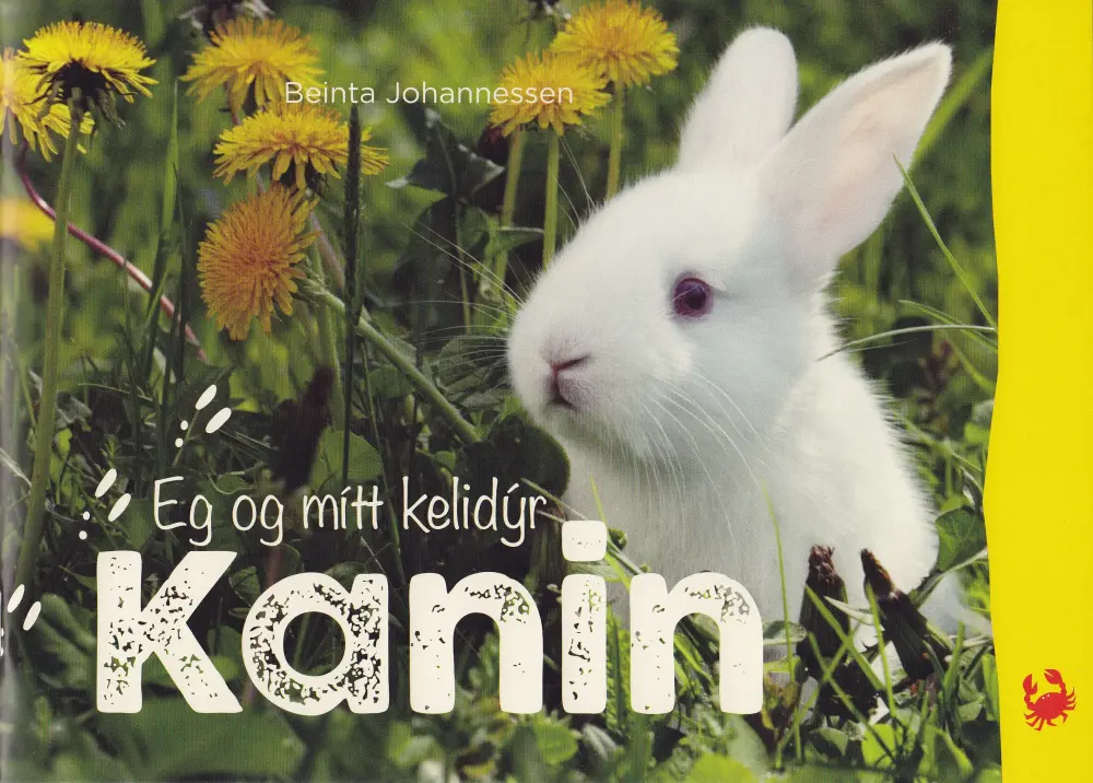 Eg og mítt kelidýr - Kanin