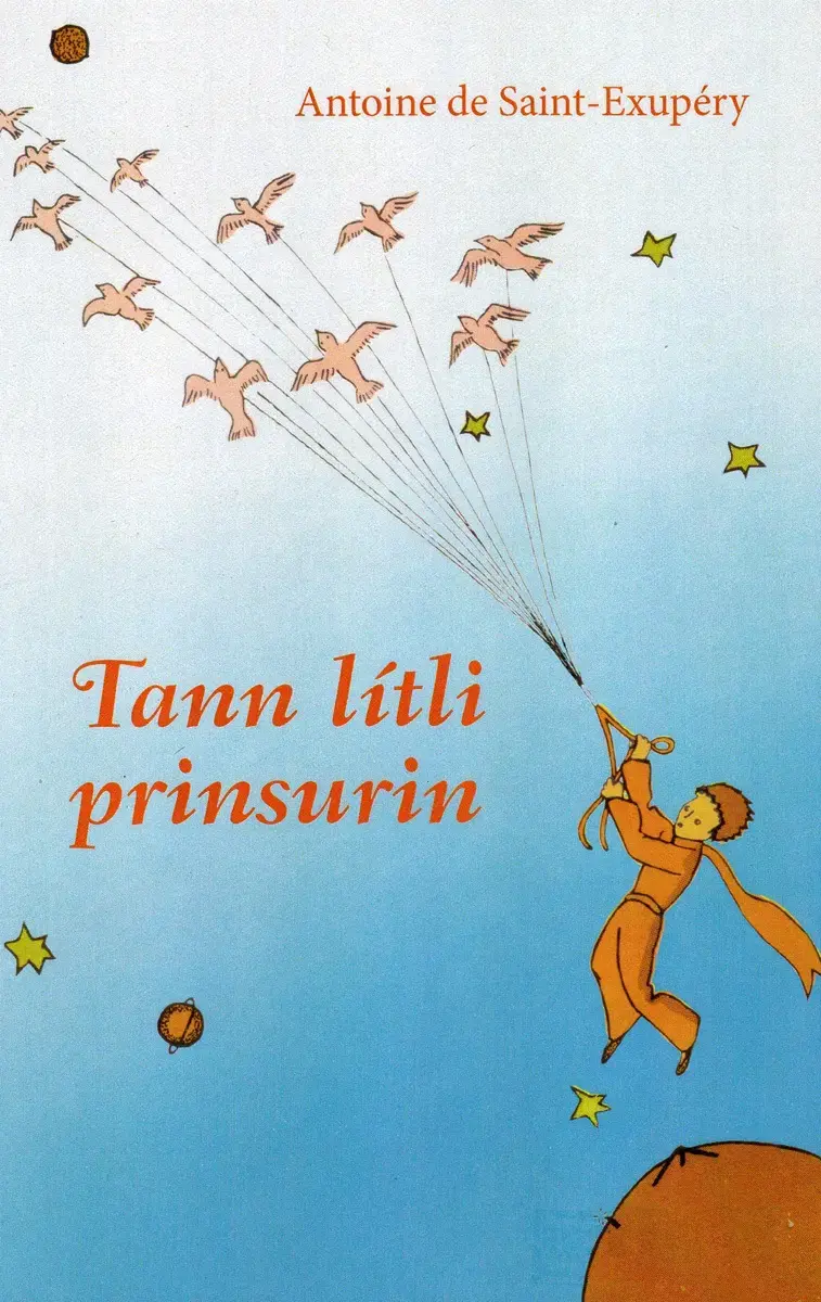 TANN LÍTLI PRINSURIN