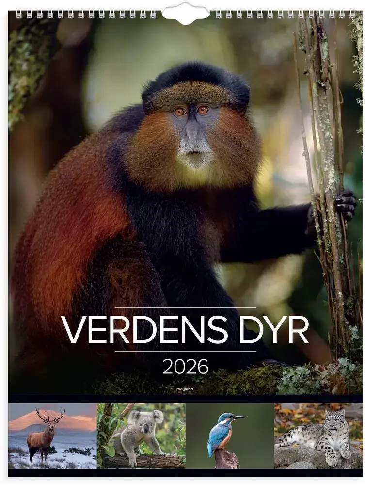 Vægkalender 2026 verdens dyr