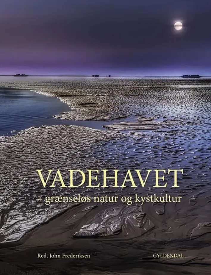 Vadehavet