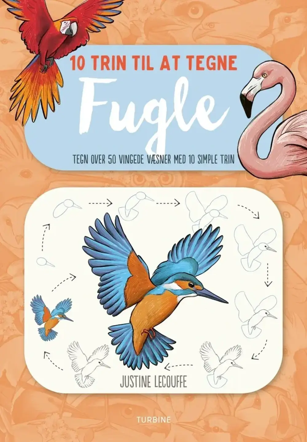 10 trin til at tegne fugle