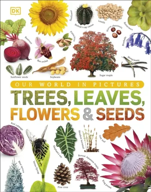 Our World In Pictures: Trees, Leaves, Flowers & Seeds